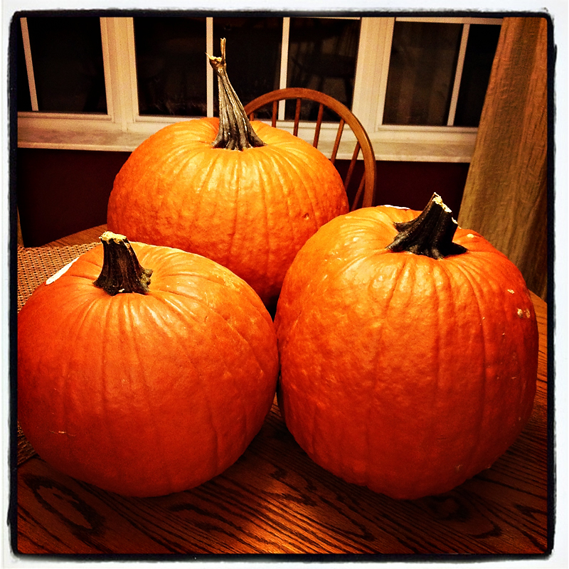 Trio of pumpkins