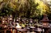 nara_13_kasuga_taisha_stone_lanterns