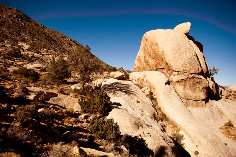 Hike to Ryan Mountain at Joshua Tree National Park