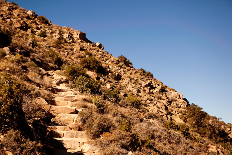 Hike to Ryan Mountain at Joshua Tree National Park