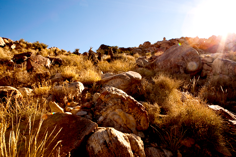 Hike to Ryan Mountain at Joshua Tree National Park