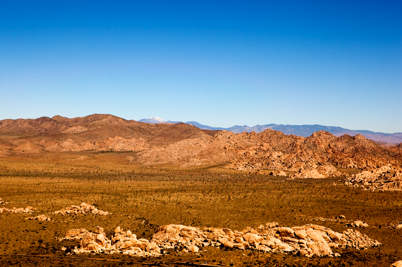 Hike to Ryan Mountain at Joshua Tree National Park