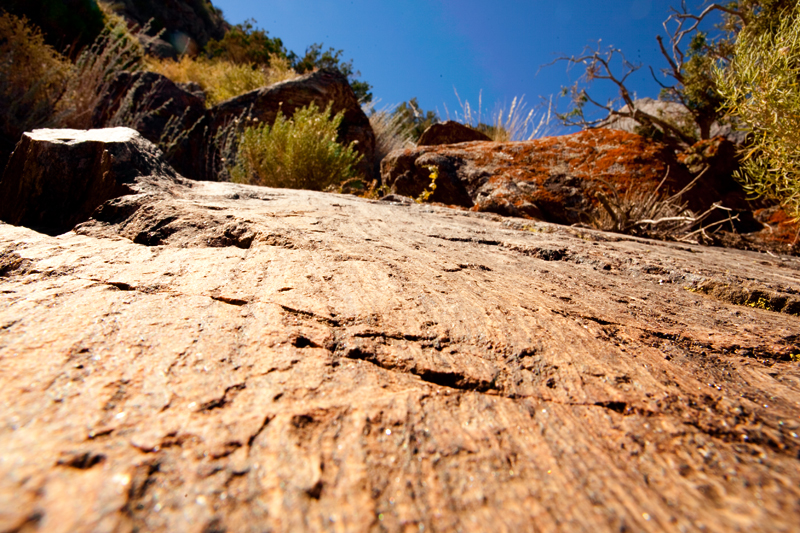 Hike to Ryan Mountain at Joshua Tree National Park