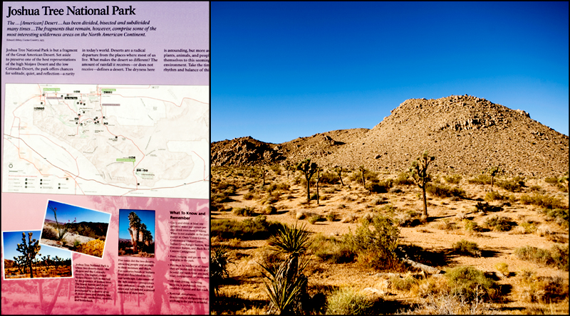 Hike to Ryan Mountain at Joshua Tree National Park