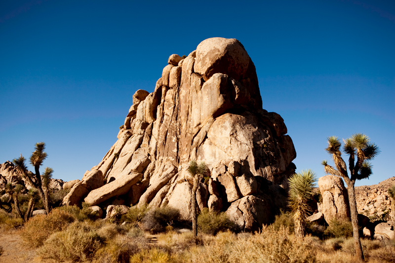 Hike to Ryan Mountain at Joshua Tree National Park