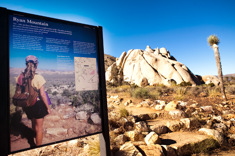 Hike to Ryan Mountain at Joshua Tree National Park