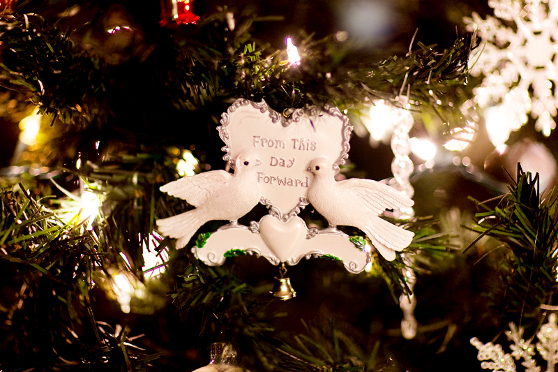 Our 2011 Christmas Tree with Ornaments