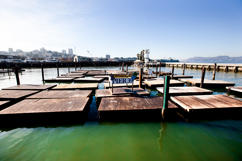 Walking the piers at Fisherman's Wharf