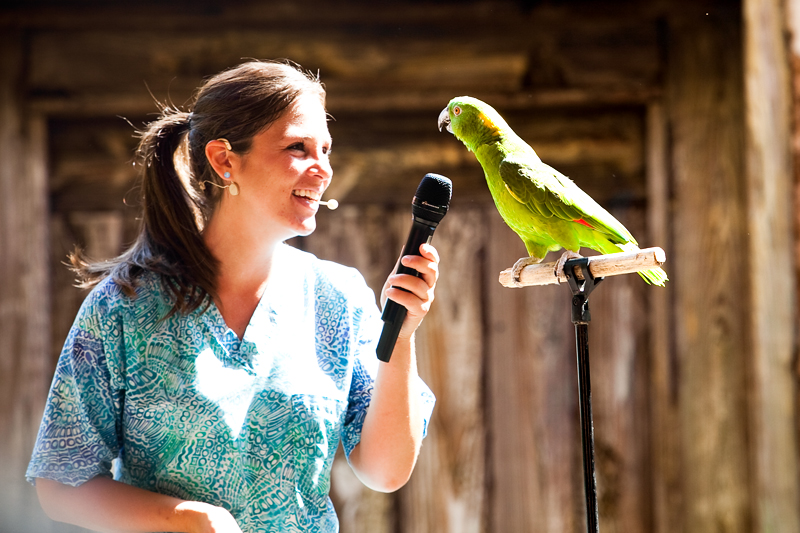 Flights of Wonder show in Animal Kingdom