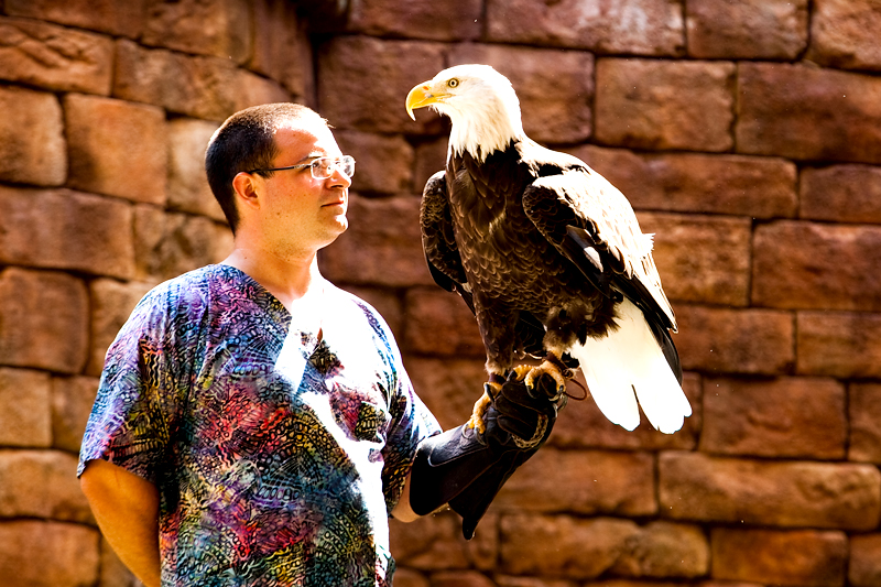 Flights of Wonder show in Animal Kingdom