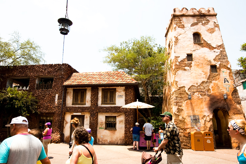 Animal Kingdom in Disney World. Orlando, FL