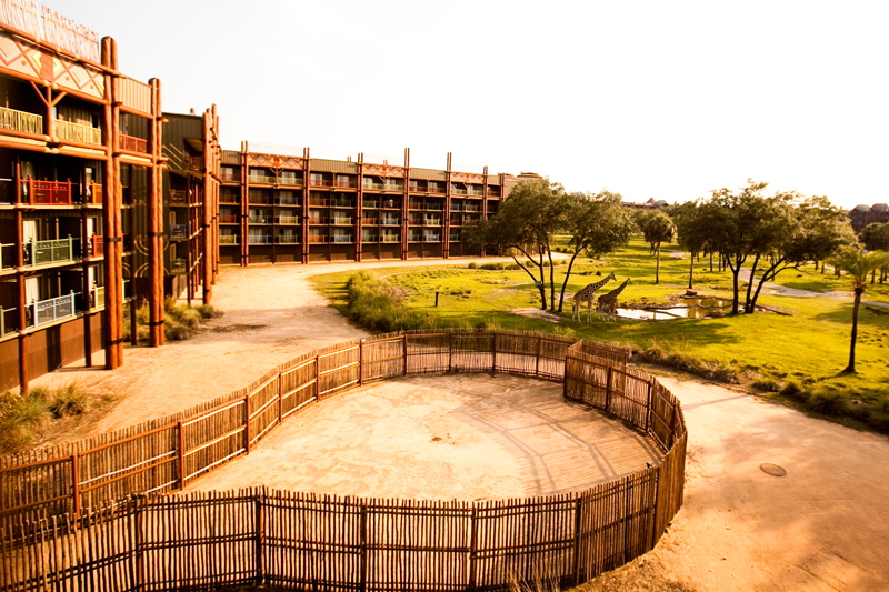 animal kingdom lodge 7