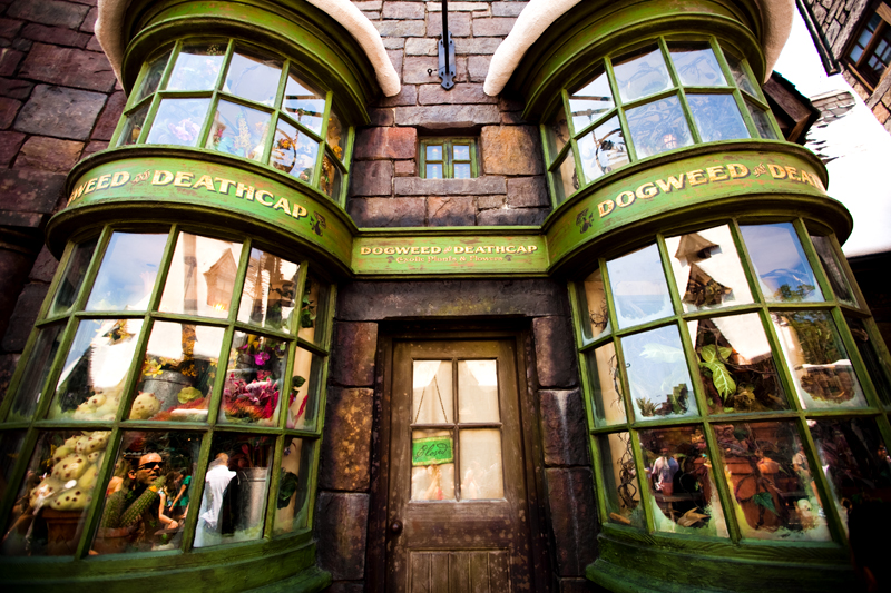 The Wizarding World of Harry Potter - Islands of Adventure - Orlando, FL