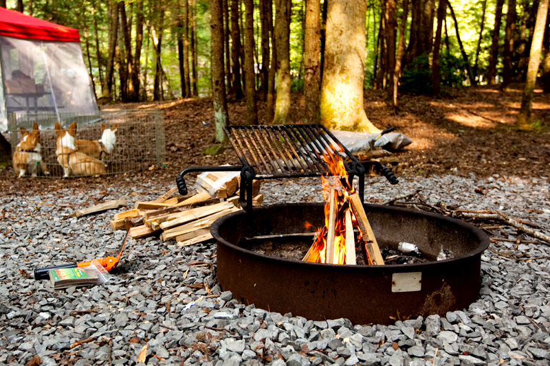 Elkmont Campground Smoky Mountains Tennessee