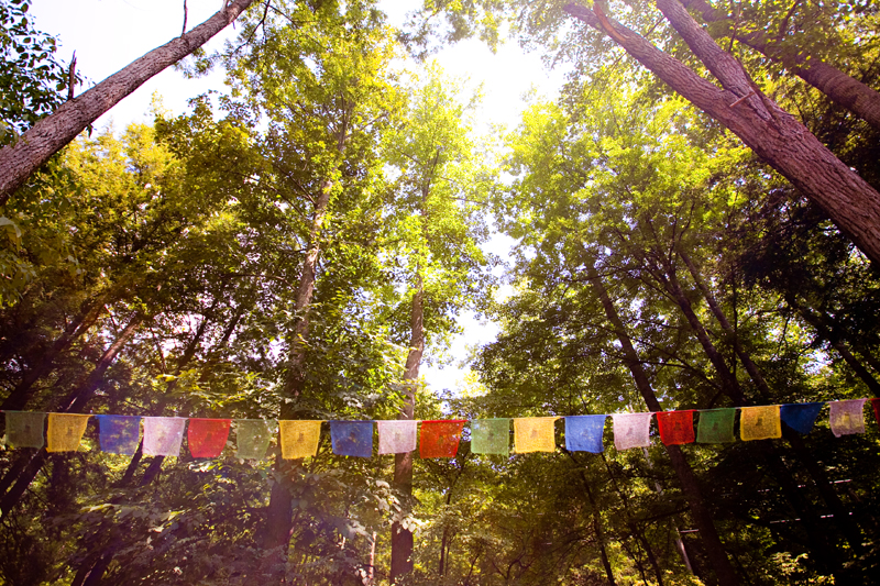 Elkmont Campground in the Smoky Mountains of Tennessee