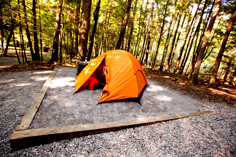 Elkmont Campground Smoky Mountains Tennessee