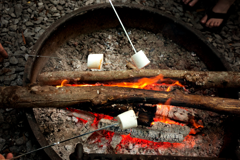 Elkmont Campground in the Smoky Mountains of Tennessee