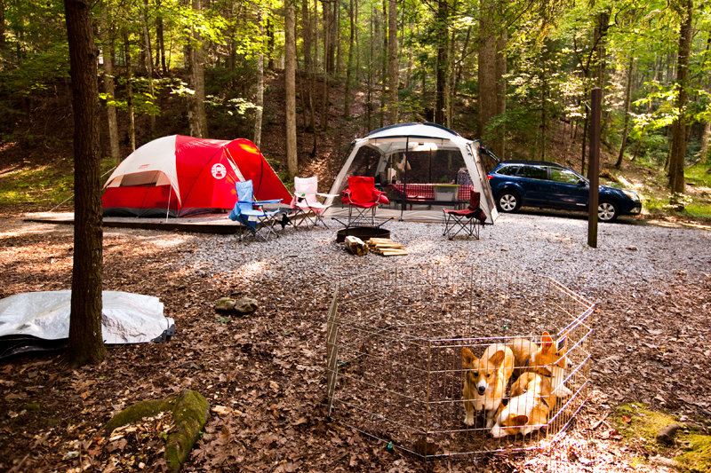 Elkmont Campground Smoky Mountains Tennessee