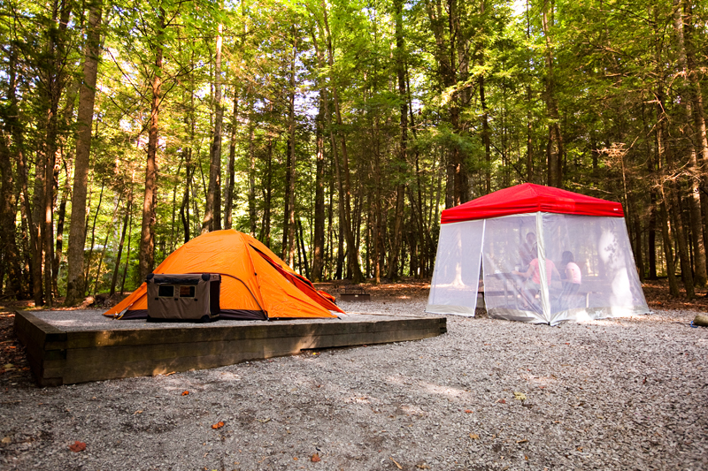 Elkmont Campground Smoky Mountains Tennessee