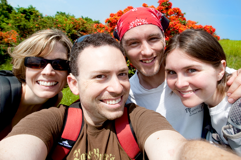 Hike to Gregory Bald to see the Flame Azaleas in the Smoky Mountains