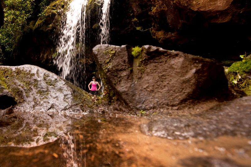 Hiking the Trillium Gap Trail to Brushy Mountain in the Smoky Mountains