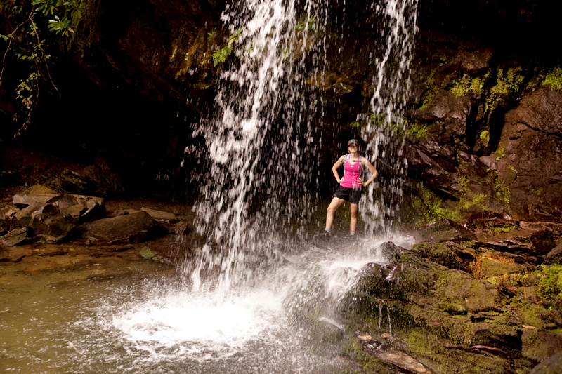 Hiking the Trillium Gap Trail to Brushy Mountain in the Smoky Mountains