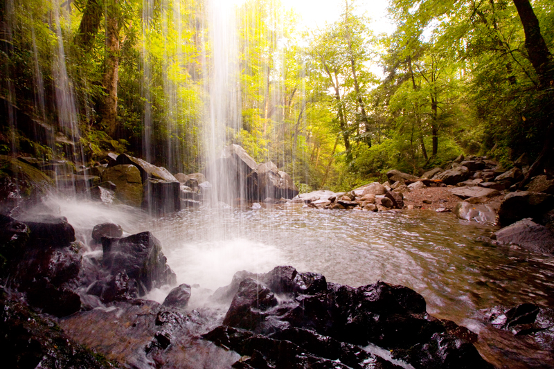 Hiking the Trillium Gap Trail to Brushy Mountain in the Smoky Mountains