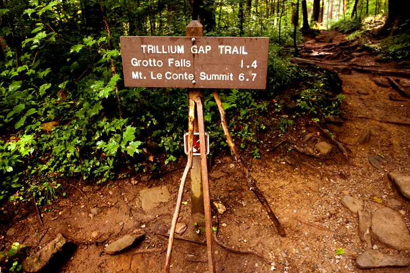 Hiking the Trillium Gap Trail to Brushy Mountain in the Smoky Mountains