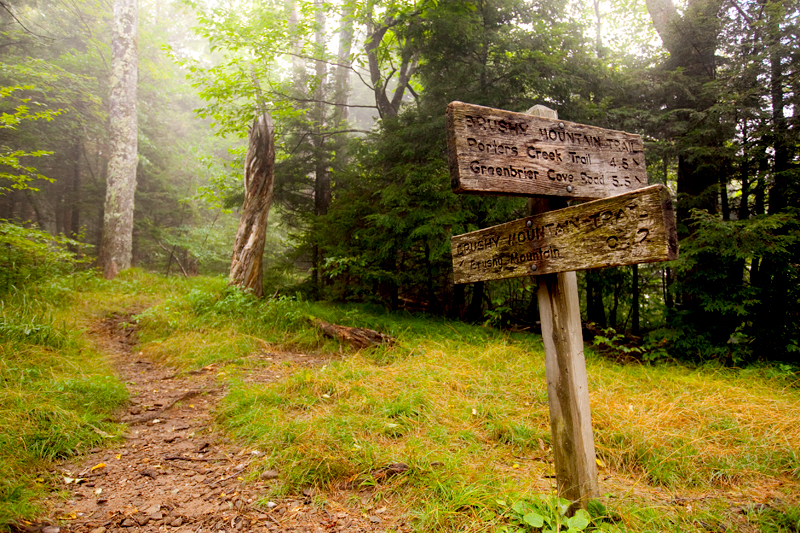 Hiking the Trillium Gap Trail to Brushy Mountain in the Smoky Mountains