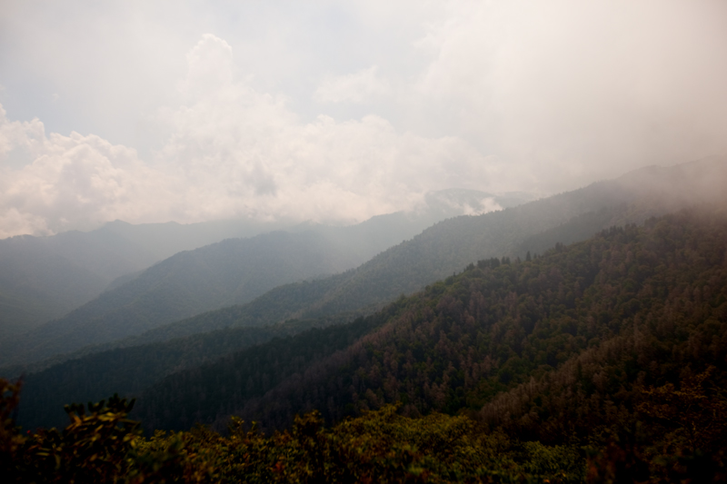 Hiking the Trillium Gap Trail to Brushy Mountain in the Smoky Mountains