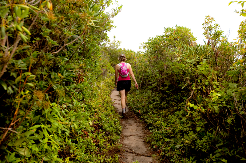 Hiking the Trillium Gap Trail to Brushy Mountain in the Smoky Mountains