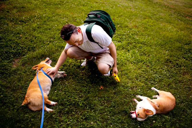 Dexter & Dewey taking a rest at Ijams Nature Center