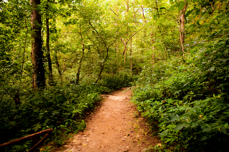 Ijams Nature Center in Knoxville, Tennessee