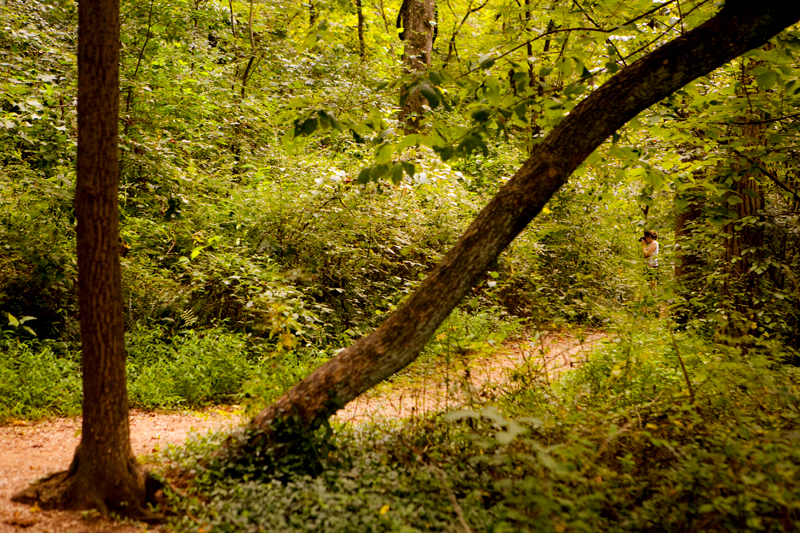 Ijams Nature Center in Knoxville, Tennessee