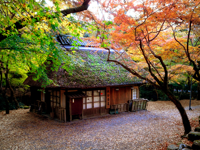 nara park thatched house