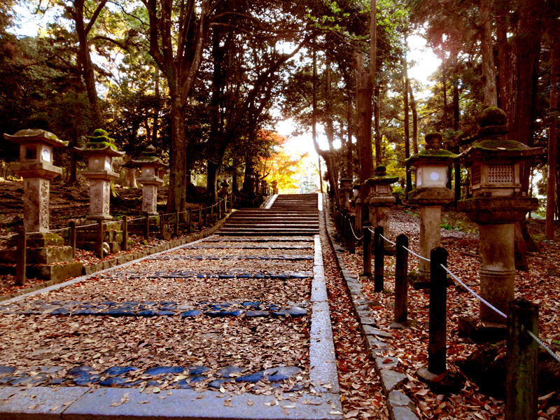 nara stone lanterns