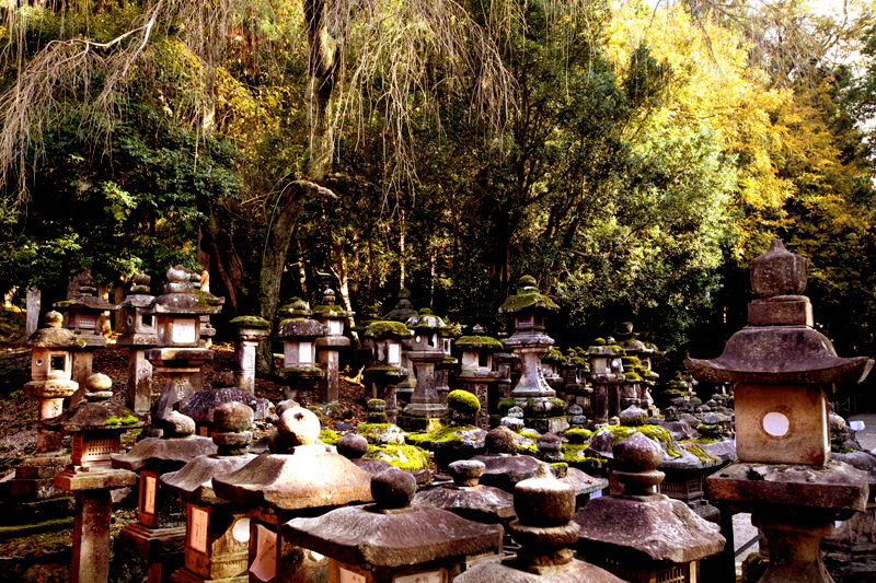 nara kasuga taisha shrine stone lanterns