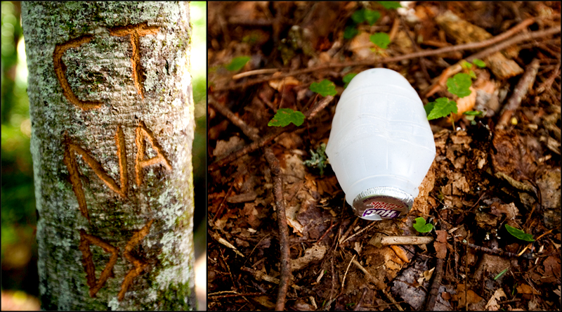 Litter and vandalism on Ramsey Cascades trail