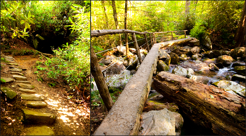 Ramsey Cascades hiking trail in the Smoky Mountains