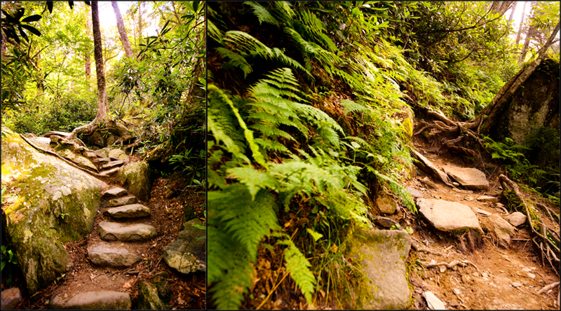 Ramsey Cascades hiking trail in the Smoky Mountains