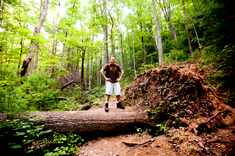 Rich Mountain Loop Hiking Trail - Cades Cove in Smoky Mountains