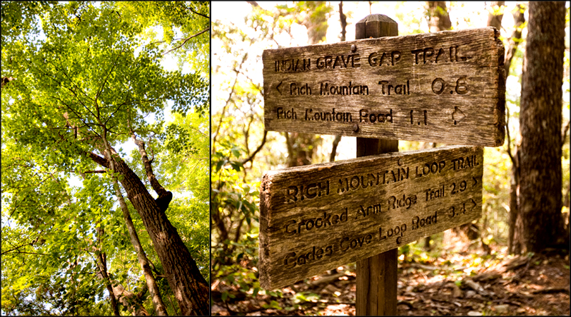 Rich Mountain Loop Hiking Trail - Cades Cove in Smoky Mountains