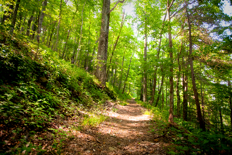Rich Mountain Loop Hiking Trail - Cades Cove in Smoky Mountains