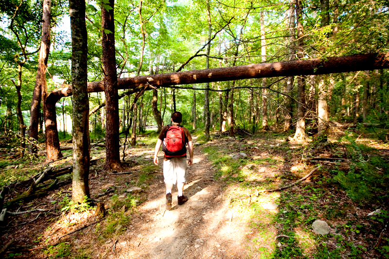 Rich Mountain Loop Hiking Trail - Cades Cove in Smoky Mountains