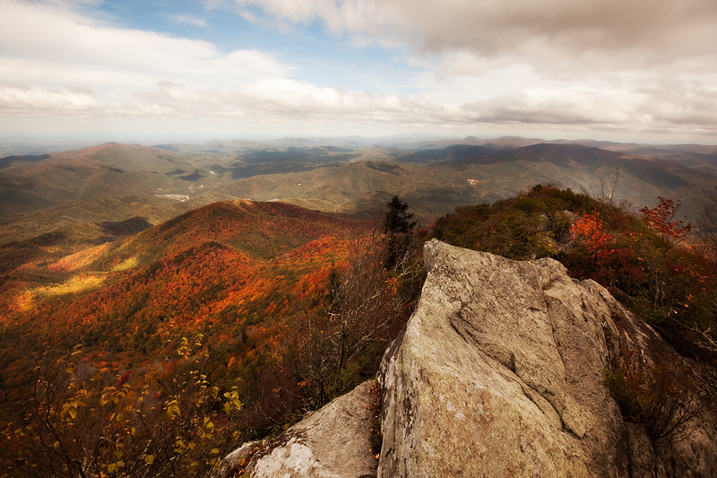 View from Mt. Cammerer Fire Tower