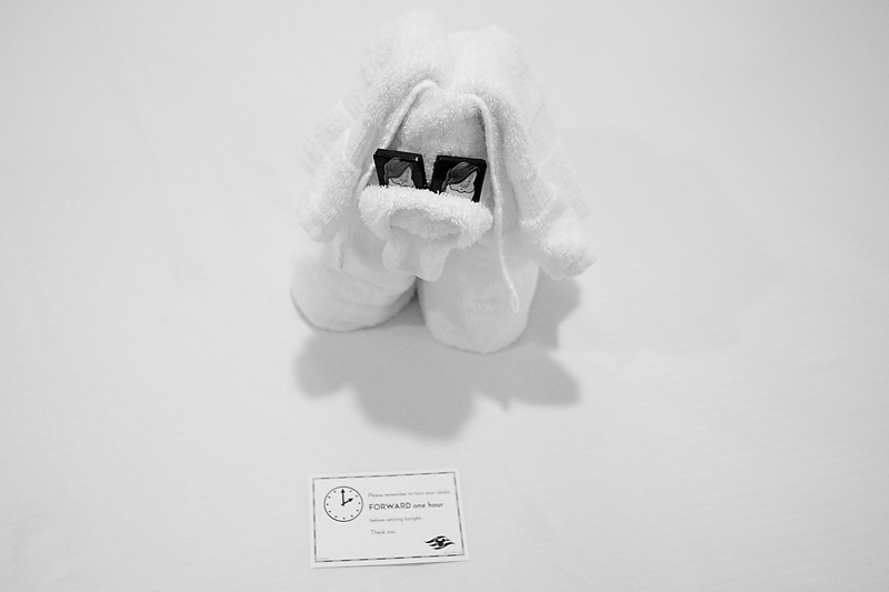 Towel animals on Disney cruise