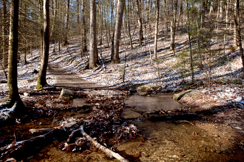 Rich Mountain Loop Trail in the winter - Cades Cove in the Smoky Mountains