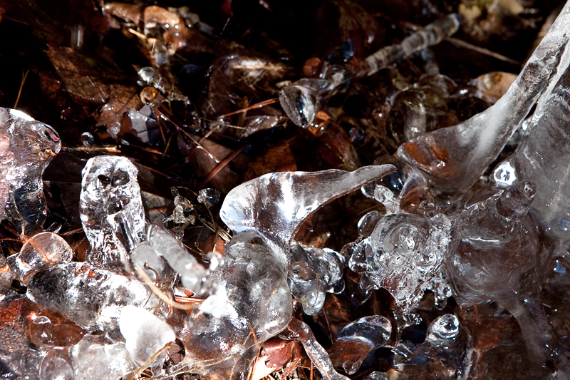 Rich Mountain Loop Trail in the winter - Cades Cove in the Smoky Mountains