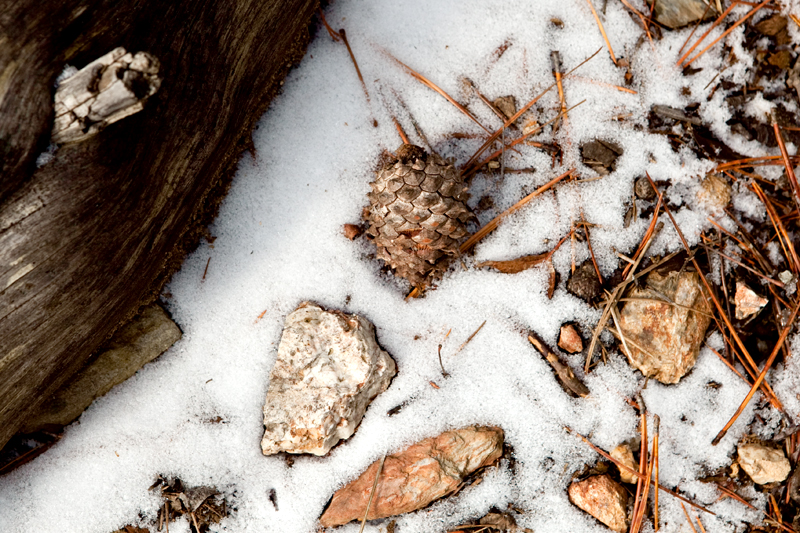 Rich Mountain Loop Trail in the winter - Cades Cove in the Smoky Mountains