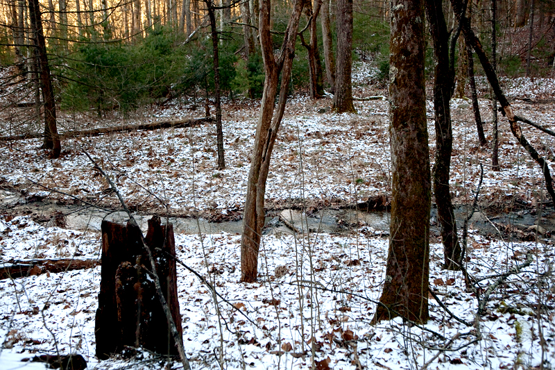 Rich Mountain Loop Trail in the winter - Cades Cove in the Smoky Mountains